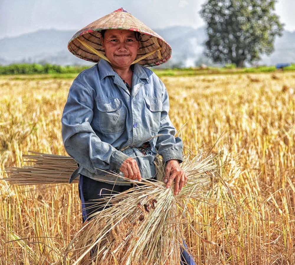 There are many variations of passages of Lorem Ipsum available, but majority have suffered teration in some form, by injected humour, or randomised words which don't look even slight believable. If you are going to use a passage of Lorem Ipsum.